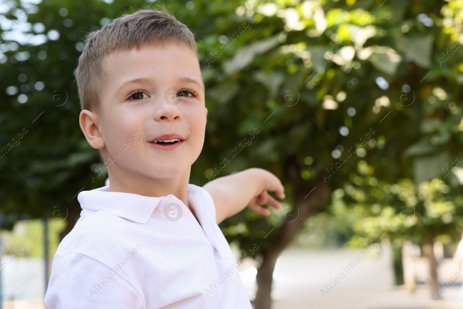 Photo of Portrait of little boy outdoors, space for text