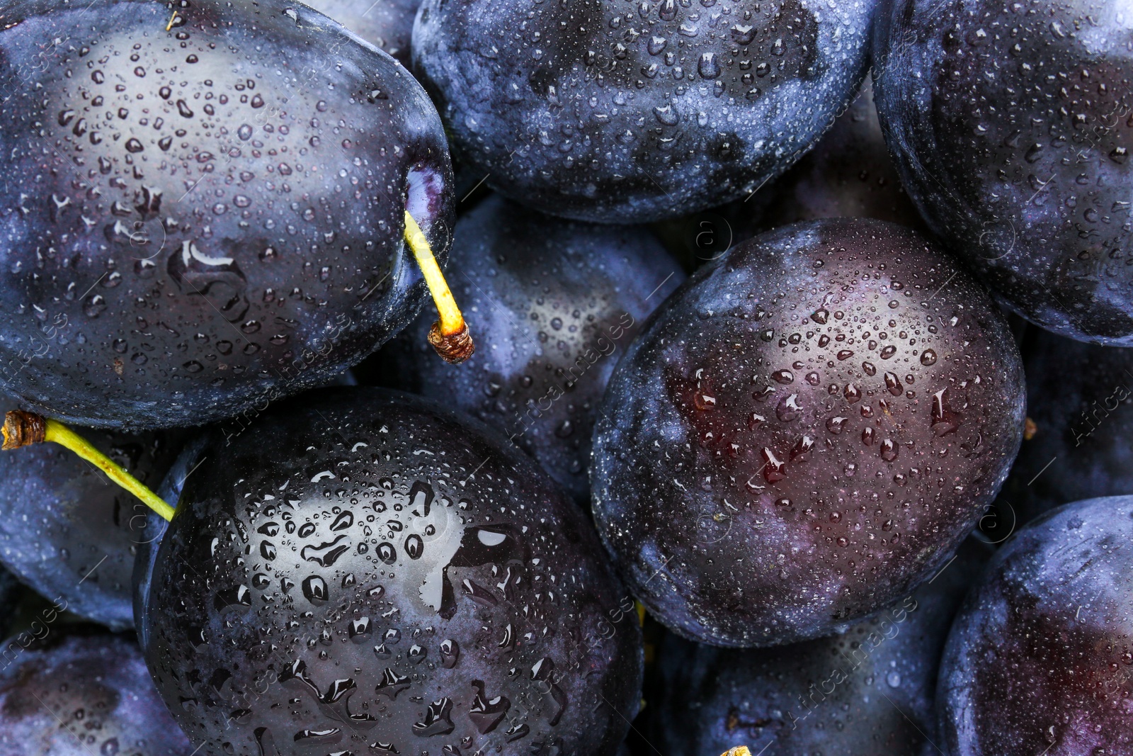 Photo of Many fresh plums with water drops as background, top view