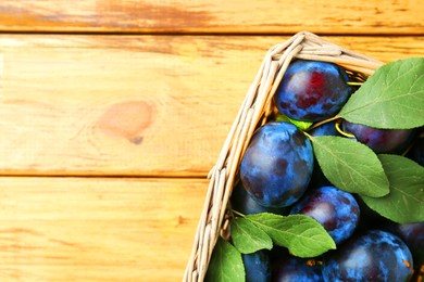 Photo of Tasty ripe plums and leaves in wicker basket on wooden table, top view. Space for text