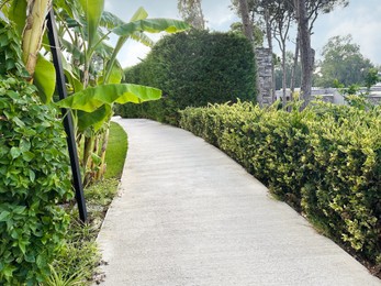 Photo of View of walkway in park with palm trees