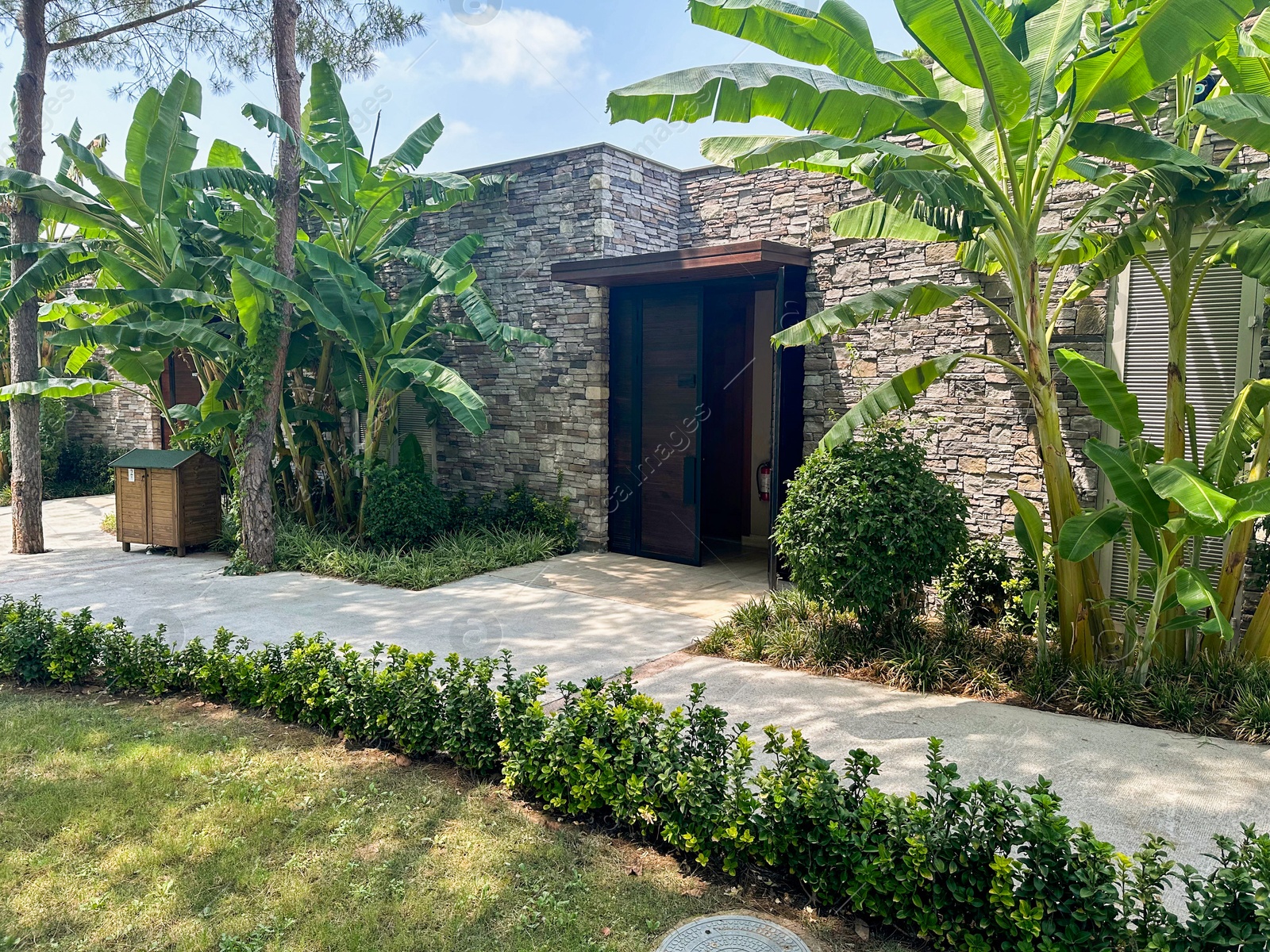 Photo of Tropical trees with green leaves and other plants outdoors