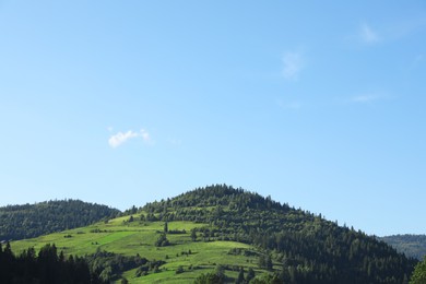 Beautiful view of forest in mountains under blue sky