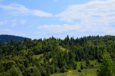 Photo of Beautiful view of forest in mountains under blue sky