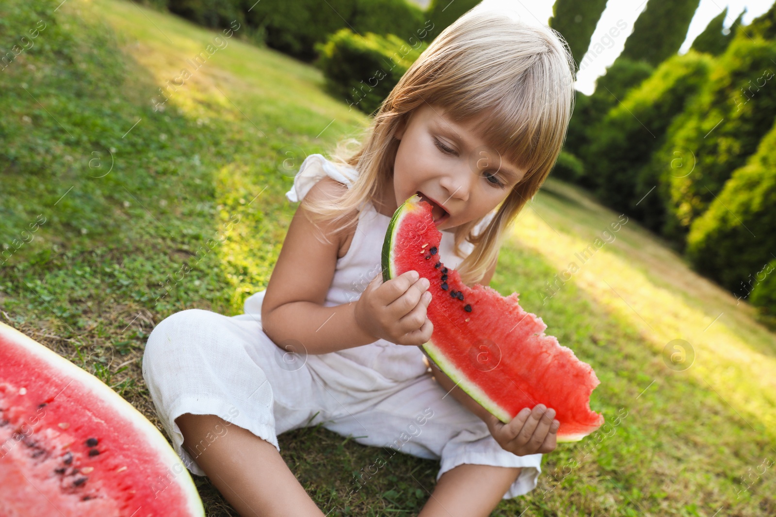 Photo of Cute little girl eating juicy watermelon on green grass outdoors