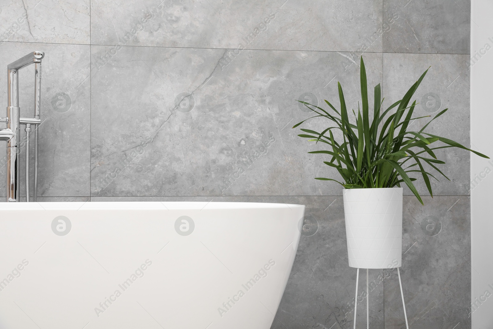 Photo of Tub and houseplant near light grey wall in bathroom