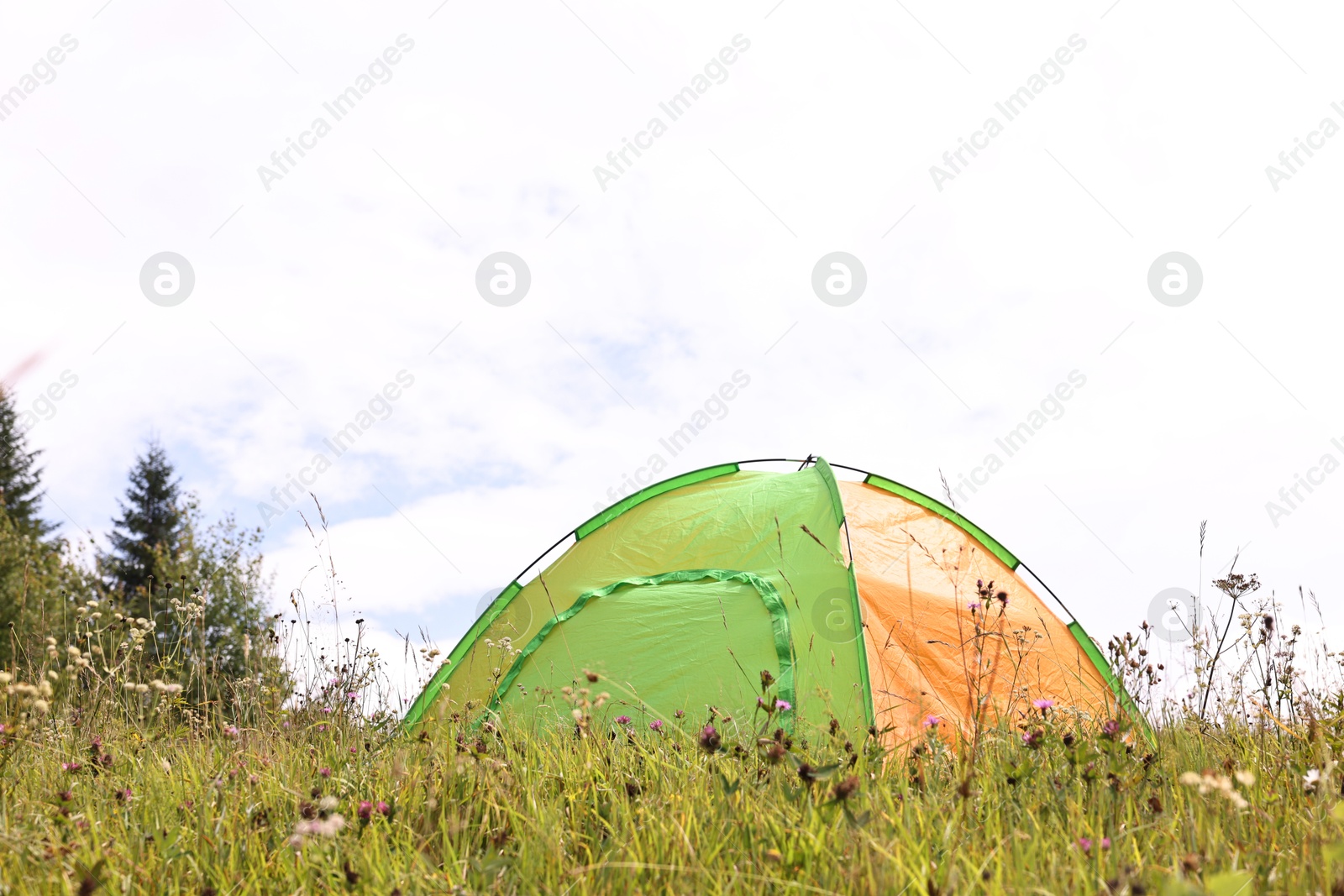 Photo of Tent on green grass in mountains. Camping equipment