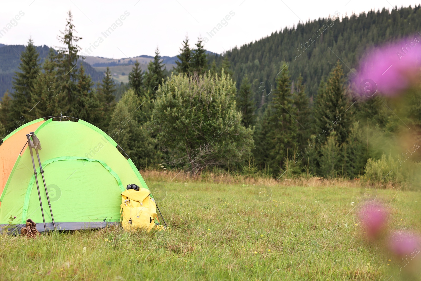 Photo of Tent, backpack and trekking poles on green grass in mountains