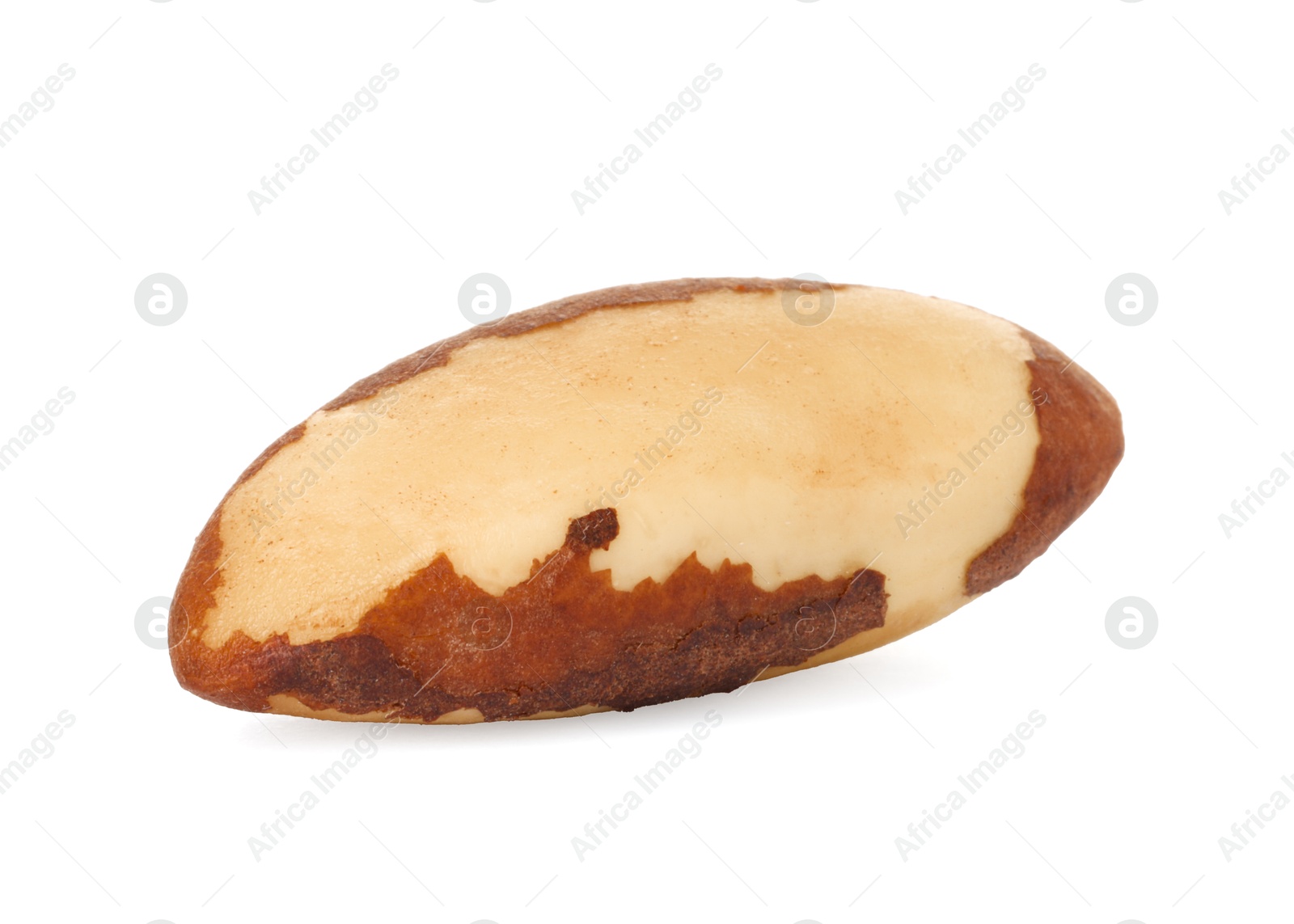 Photo of One tasty Brazil nut isolated on white