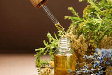 Photo of Dripping tincture from pipette into bottle and herbs on color background, closeup