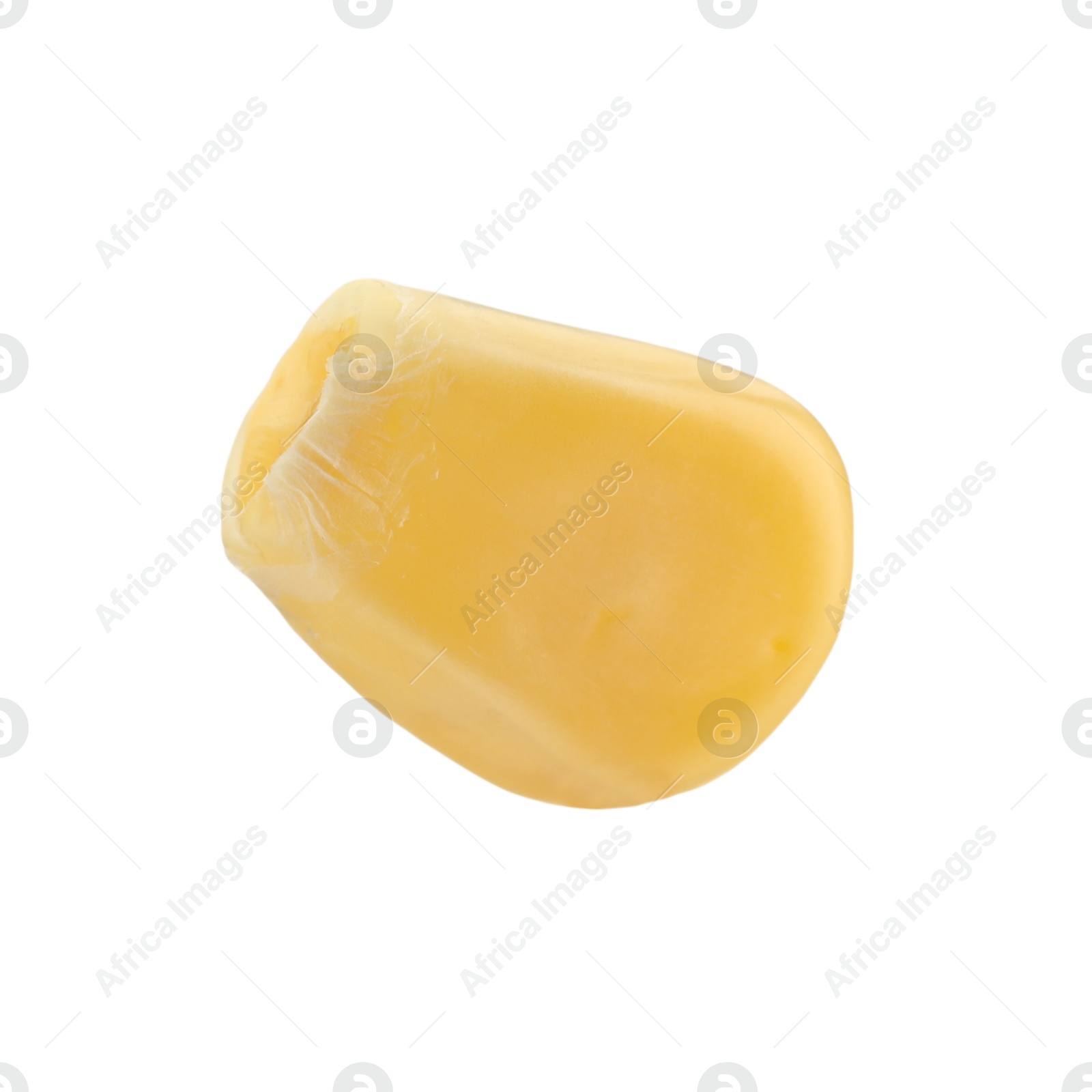 Photo of One fresh corn kernel isolated on white