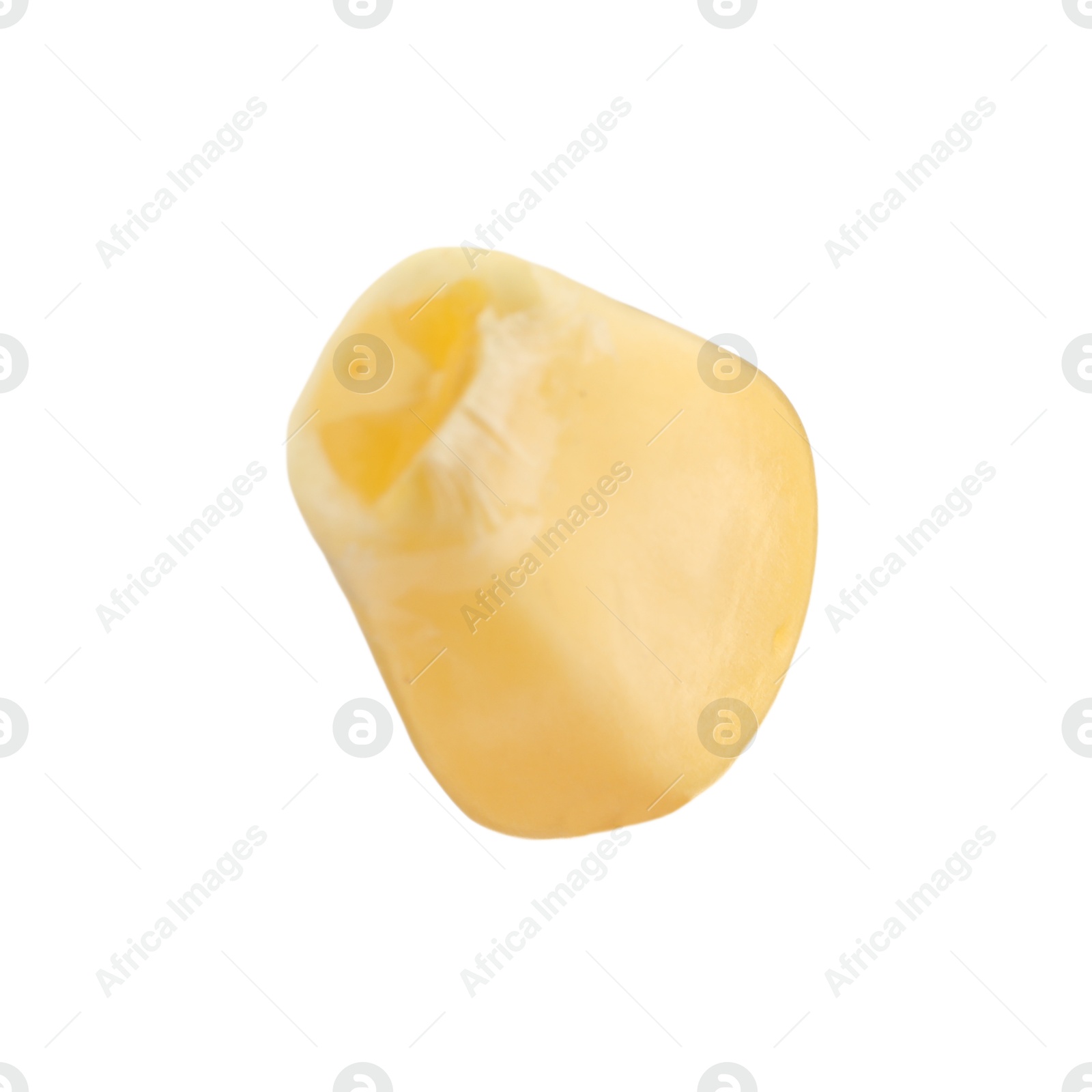 Photo of One fresh corn kernel isolated on white