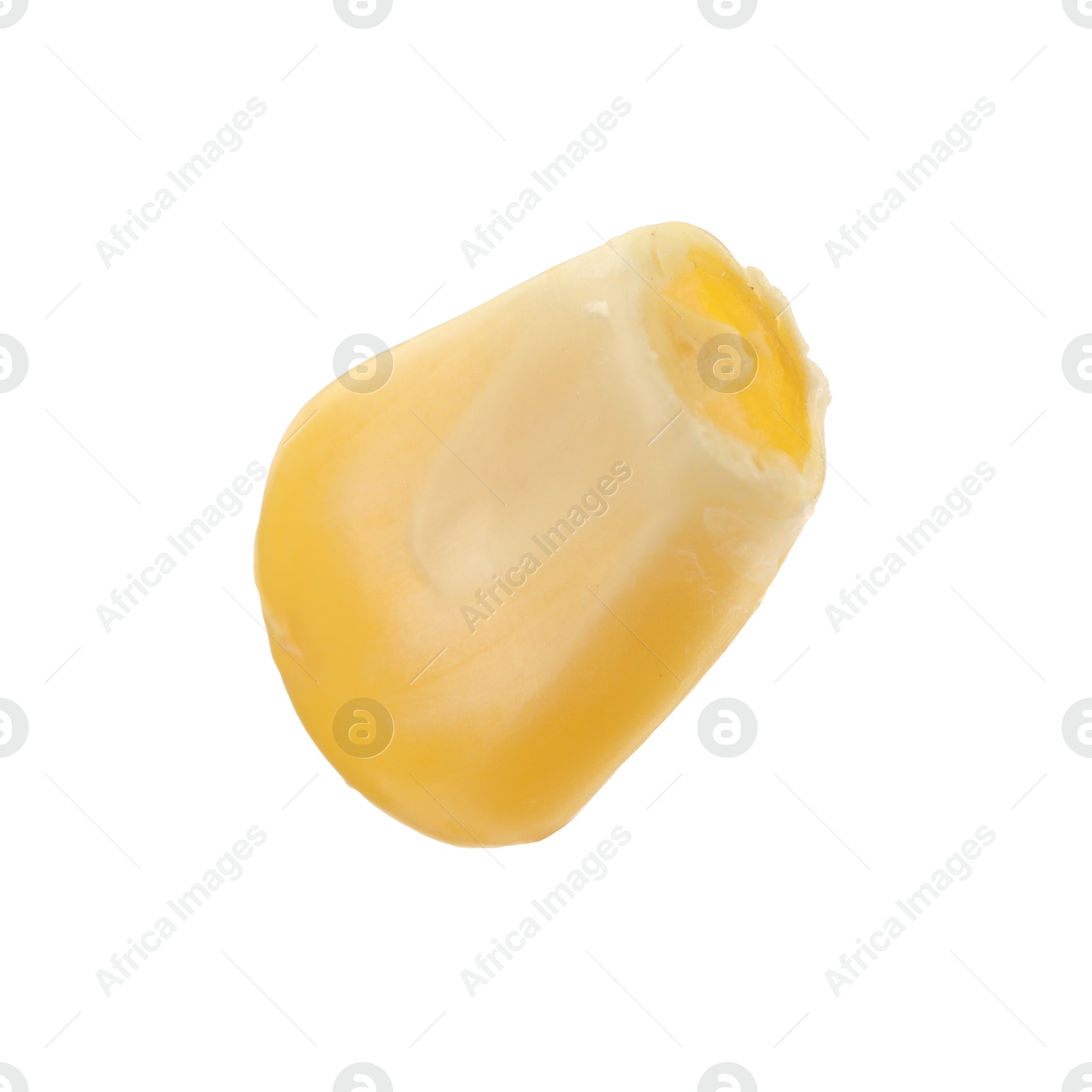 Photo of One fresh corn kernel isolated on white