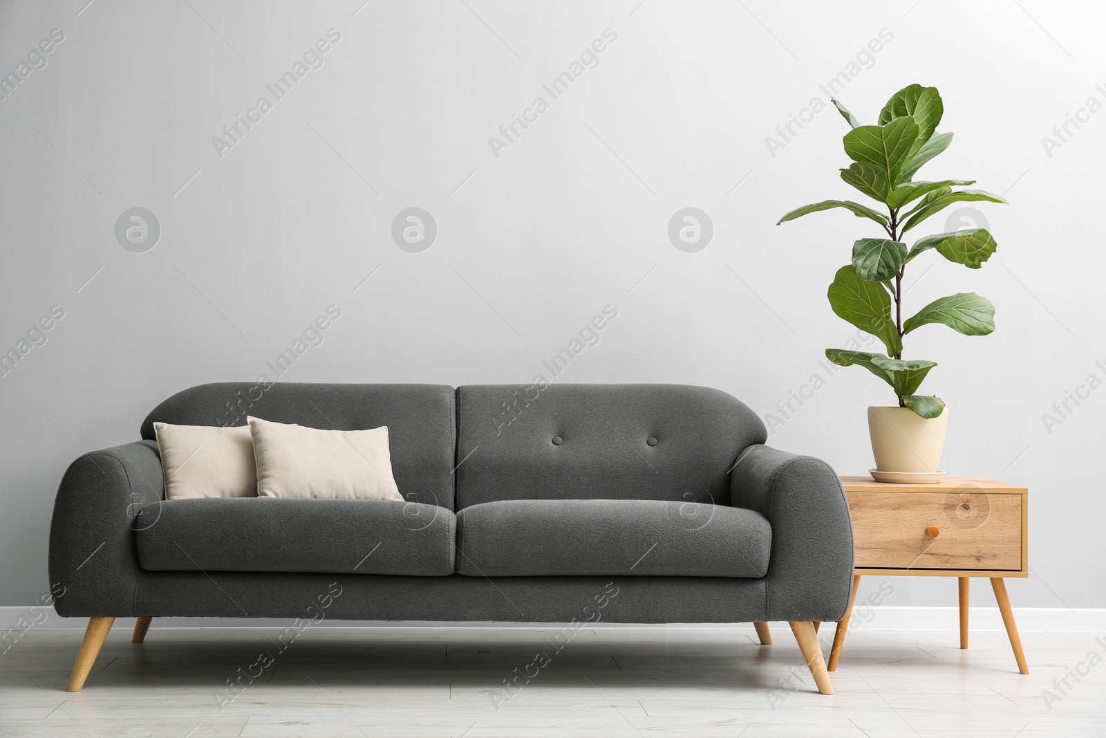 Photo of Comfortable sofa, houseplant and table near grey wall in room