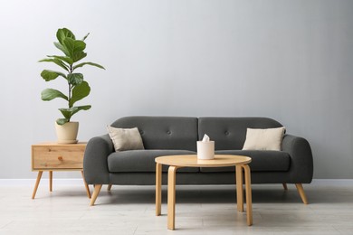 Photo of Comfortable sofa, tables and houseplant near grey wall in room