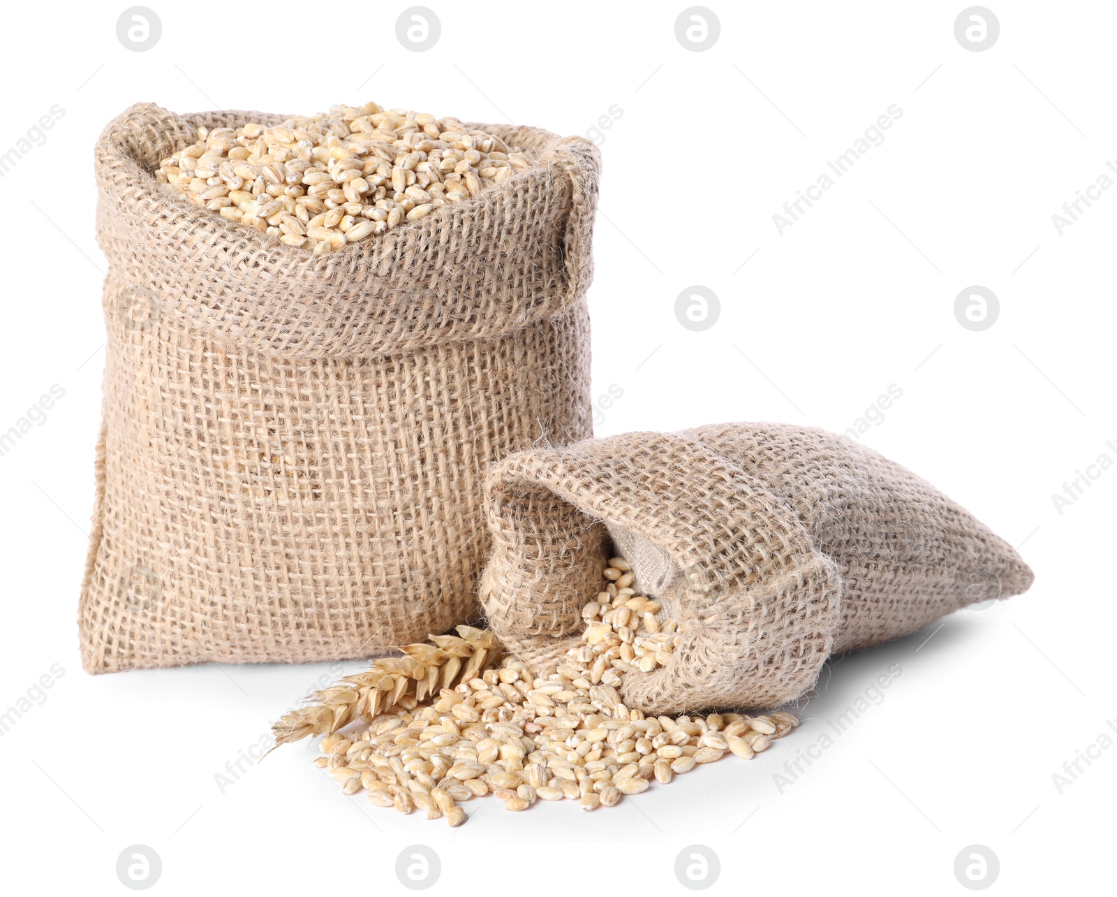 Photo of Burlap sacks with dried wheat groats isolated on white