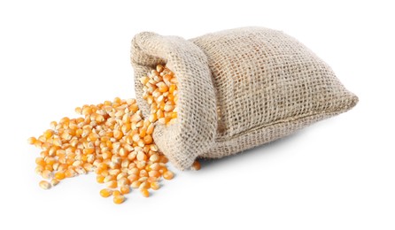 Photo of Burlap sack with corn kernels isolated on white