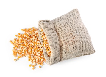 Photo of Burlap sack with corn kernels isolated on white, top view