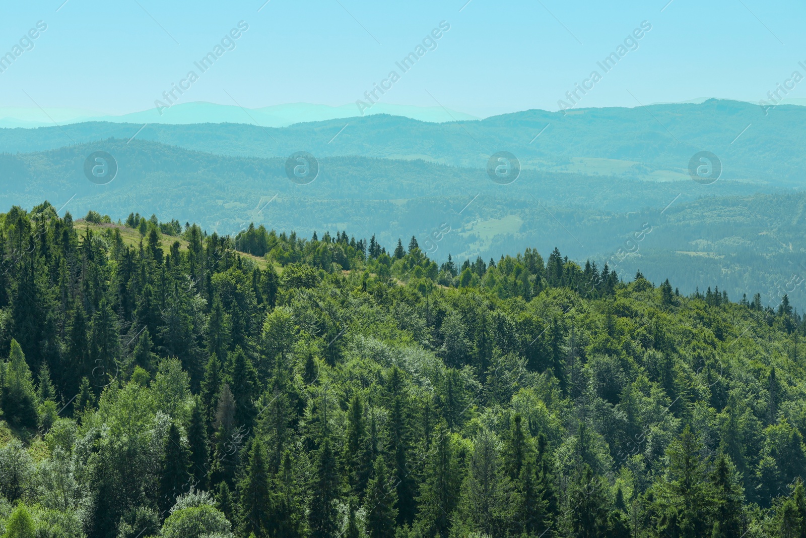 Photo of Picturesque view of mountains with trees under sky