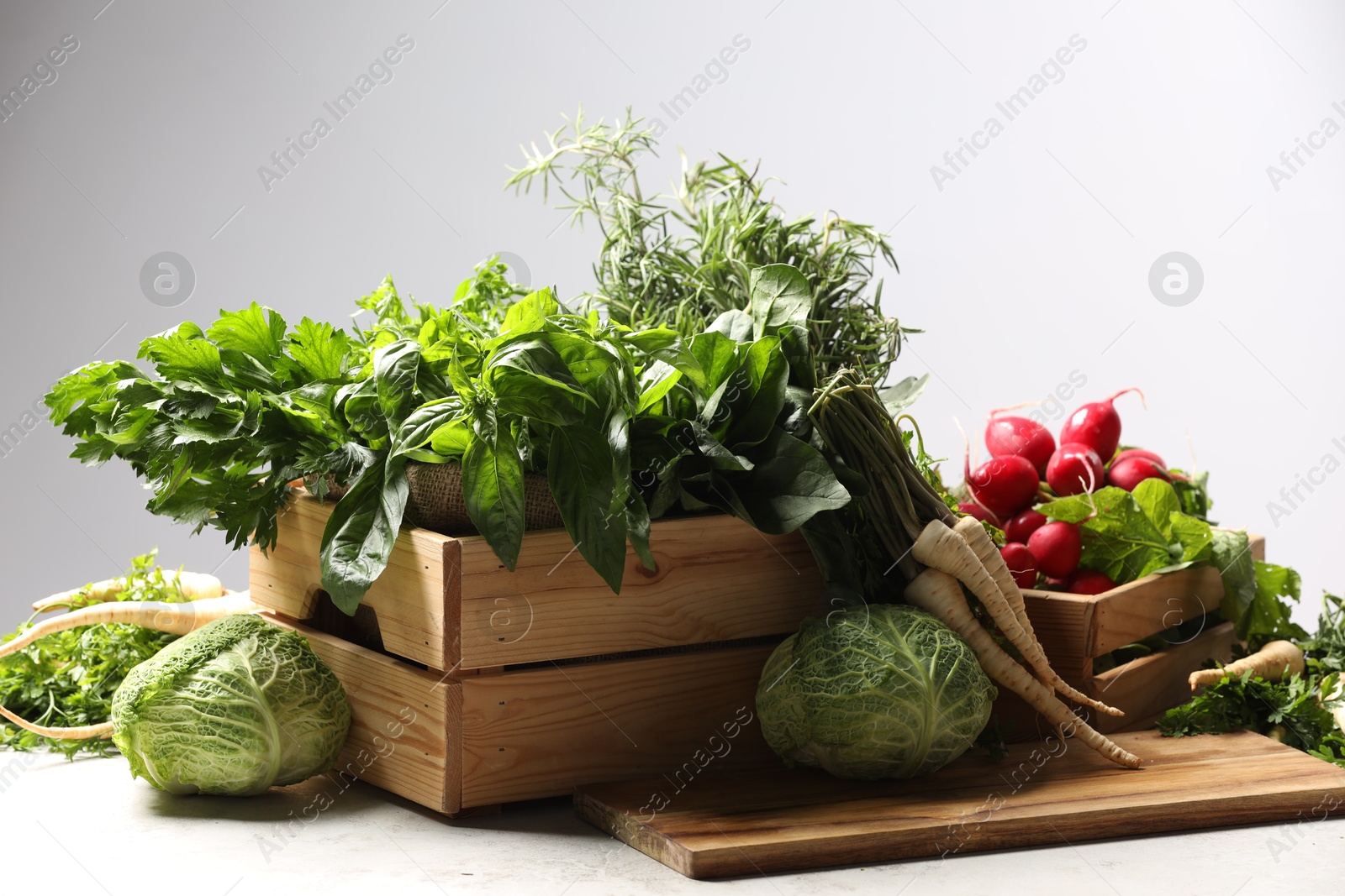 Photo of Different fresh herbs, radishes and cabbage on white table