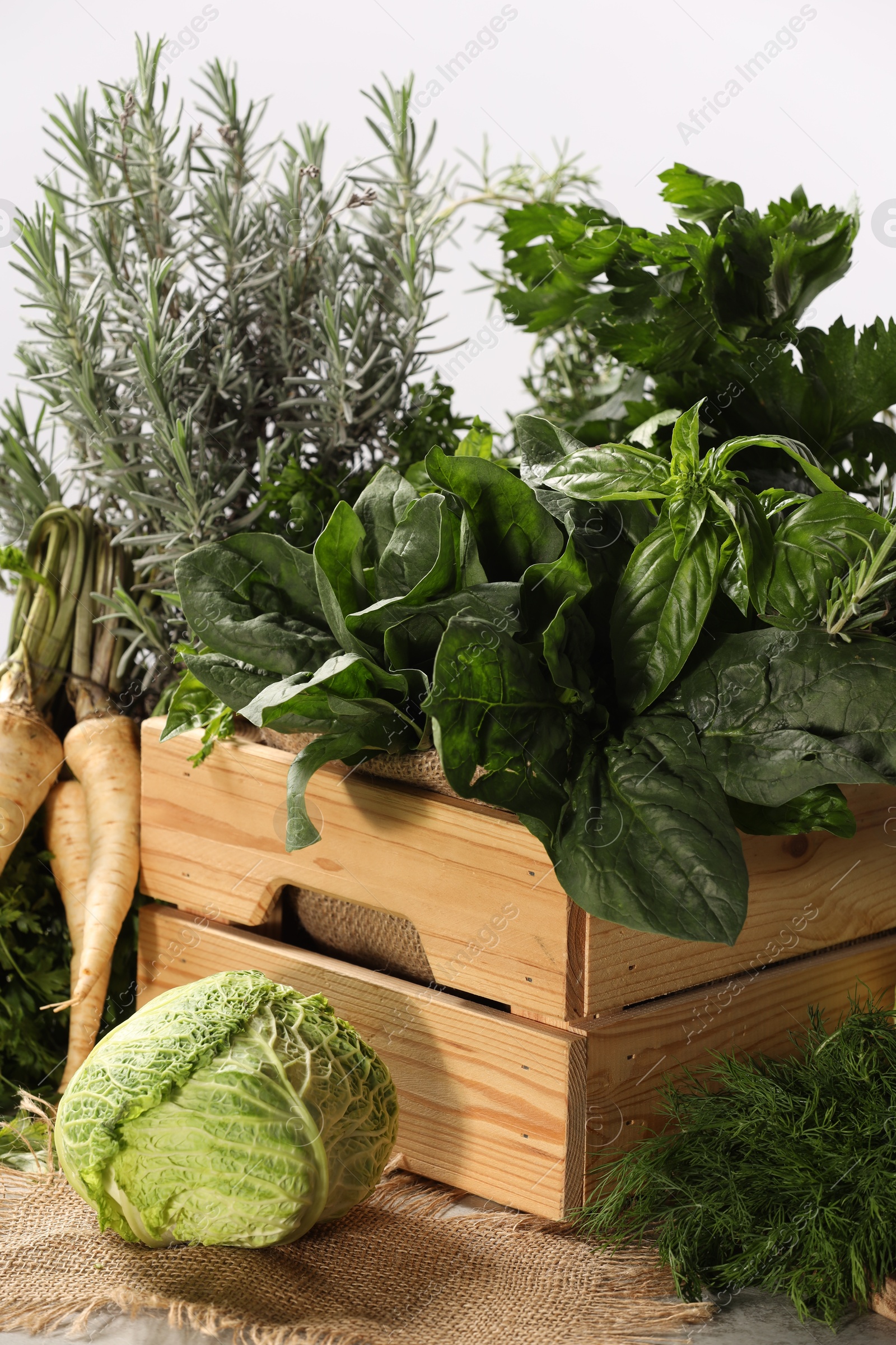 Photo of Different fresh herbs and cabbage on wooden table, closeup