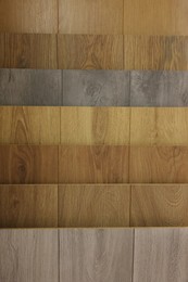 Photo of Many different samples of wooden flooring, closeup