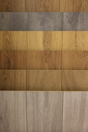 Photo of Many different samples of wooden flooring as background, closeup