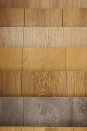 Photo of Many different samples of wooden flooring as background, closeup