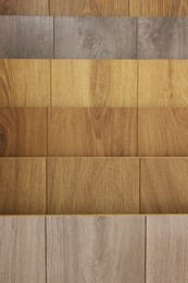 Photo of Many different samples of wooden flooring as background, closeup