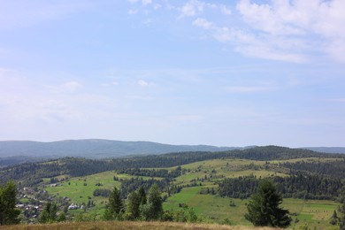 Beautiful view of forest in mountains under blue sky