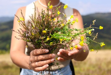 Woman holding bouquet of wild yellow flowers outdoors, closeup