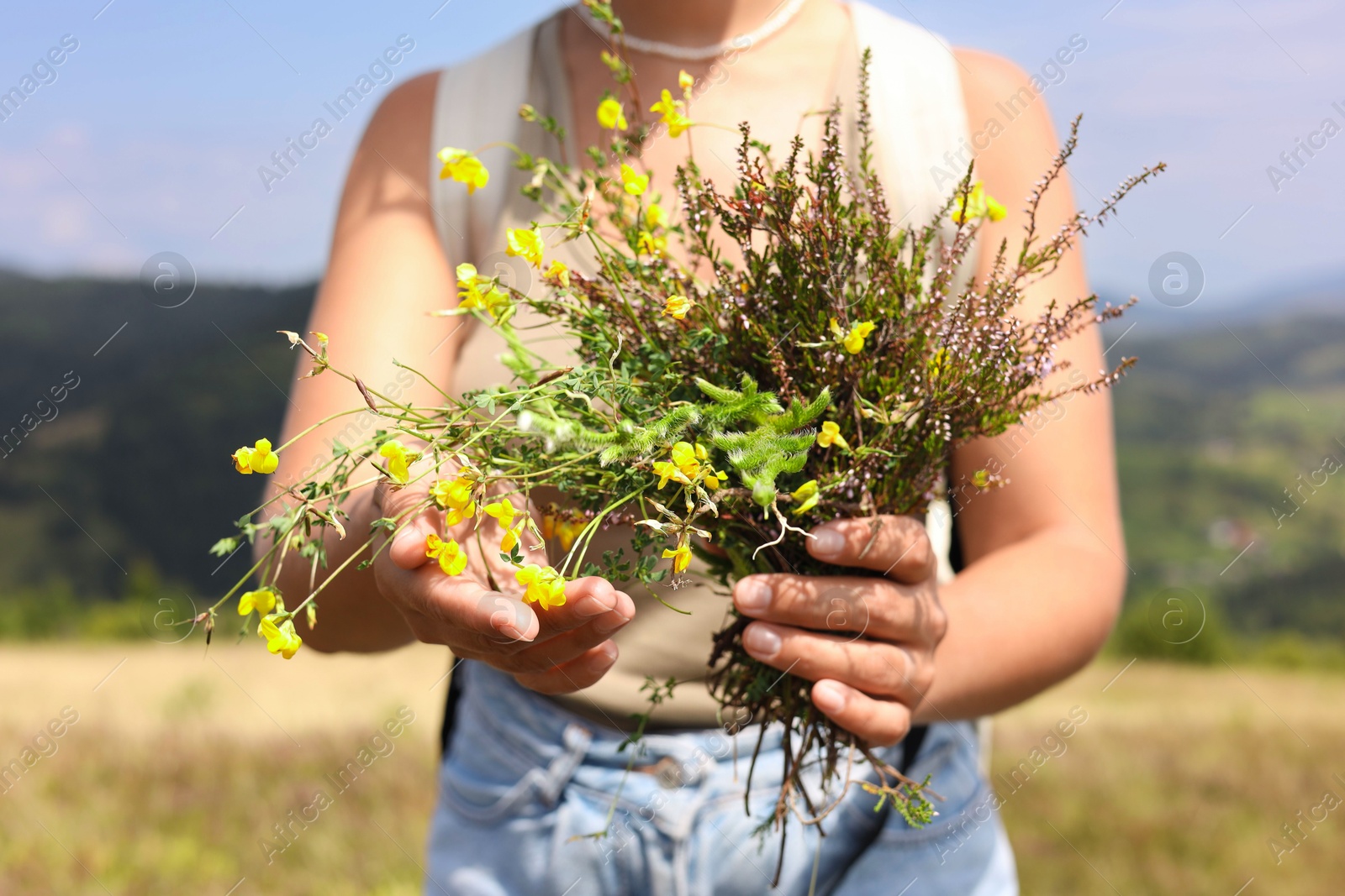 Photo of Woman holding bouquet of wild yellow flowers outdoors, closeup