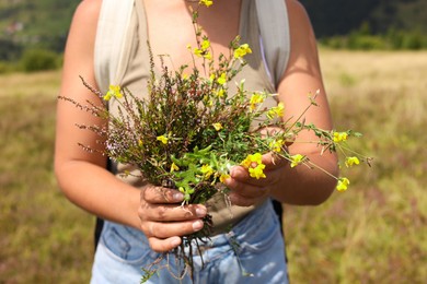 Photo of Woman holding bouquet of wild yellow flowers outdoors, closeup