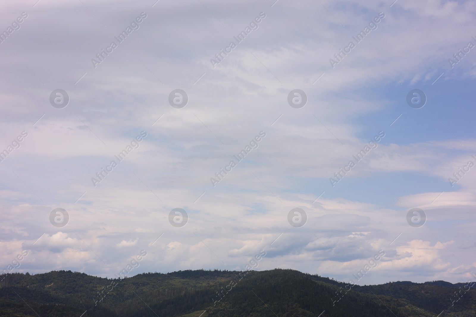 Photo of Beautiful view of forest in mountains under blue sky