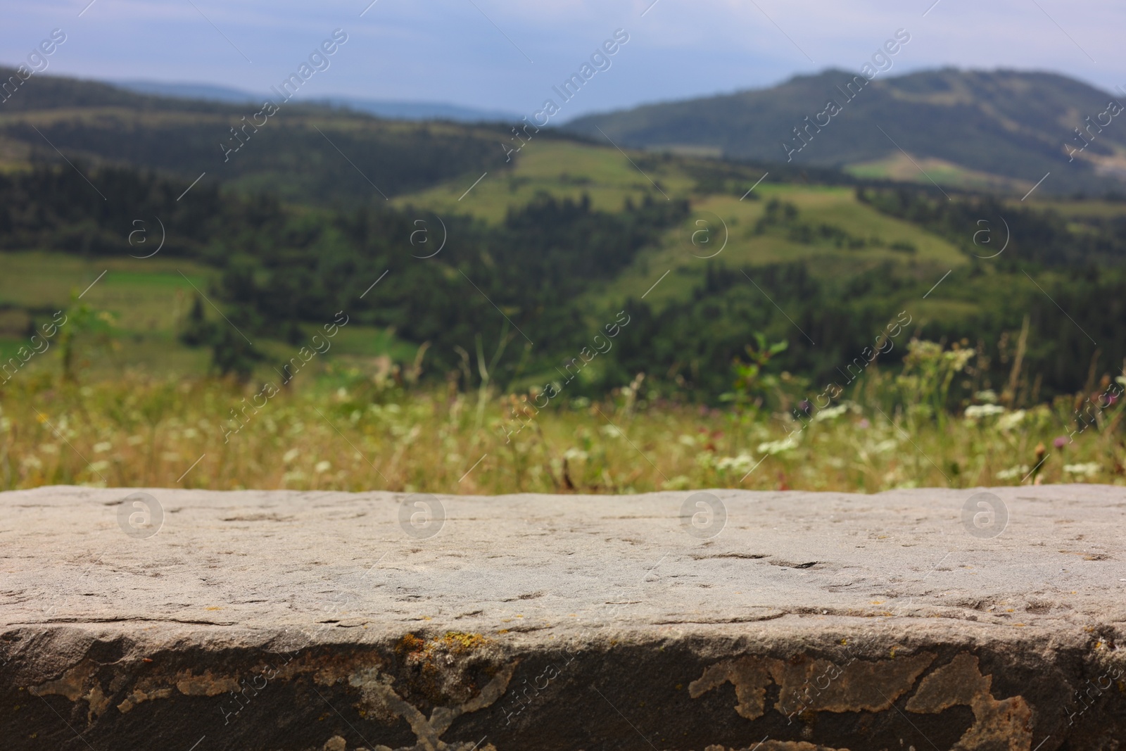 Photo of Beautiful view of forest in mountains under sky