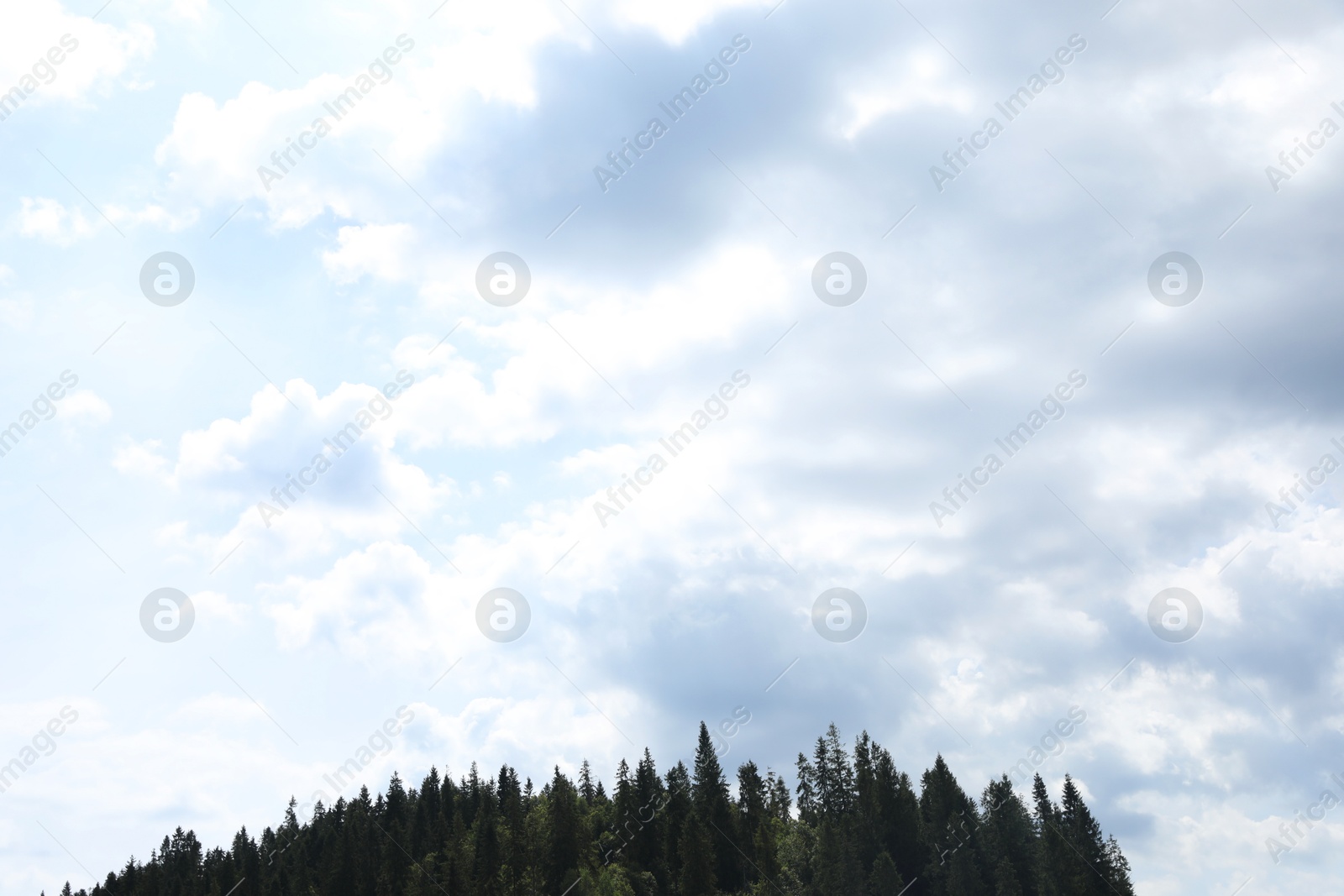 Photo of Beautiful view of forest and blue sky with fluffy clouds