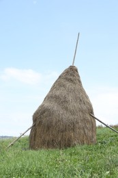 Pile of dried hay on green grass