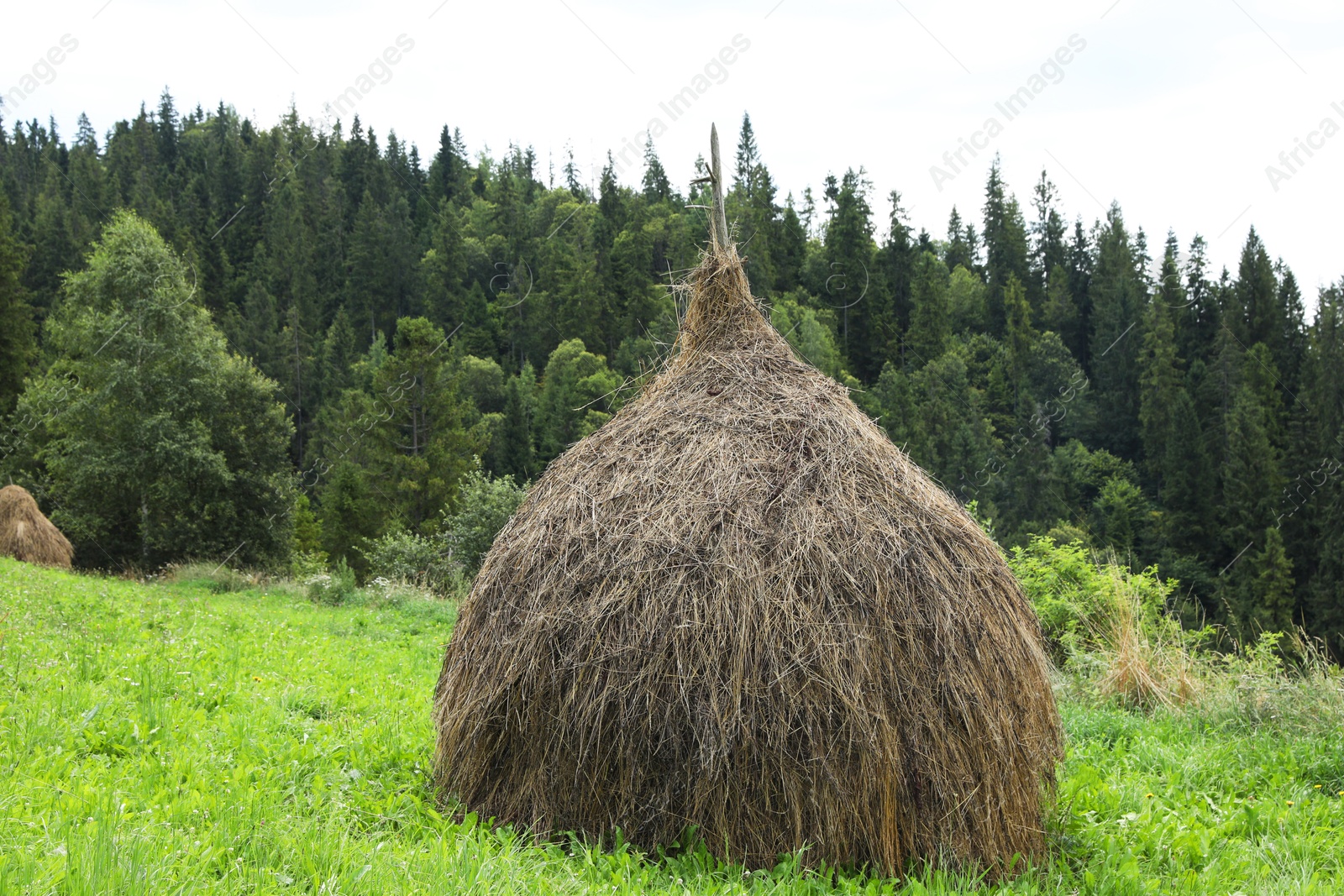 Photo of Pile of hay on field in mountains