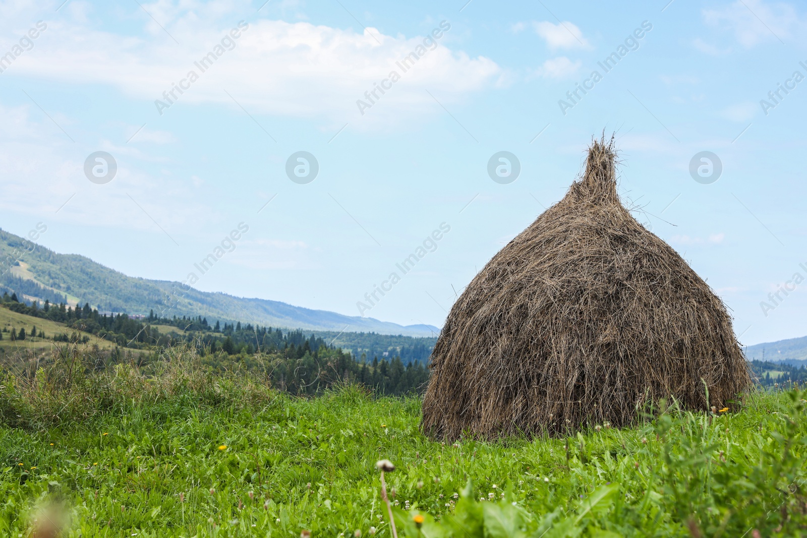 Photo of Pile of hay on field in mountains, space for text