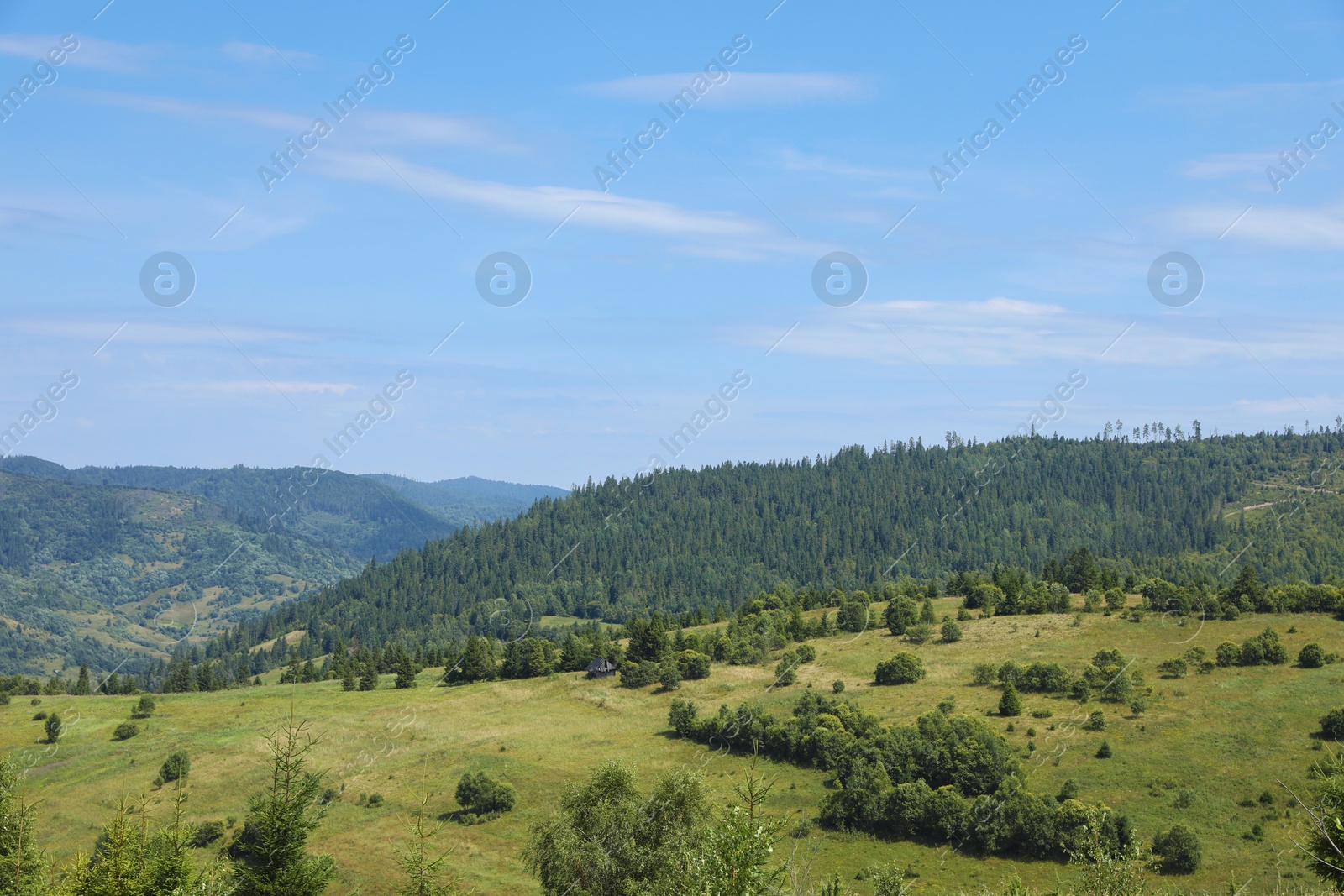 Photo of Beautiful view of forest in mountains under blue sky