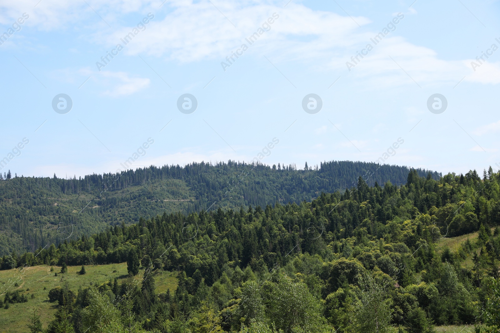 Photo of Beautiful view of forest in mountains under blue sky