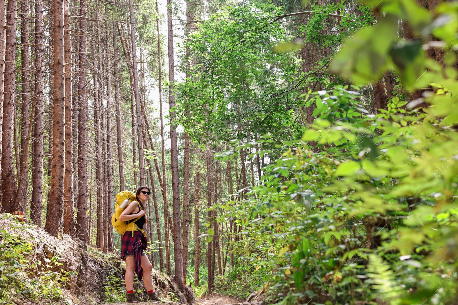 Photo of Young hiker with backpack in forest, space for text