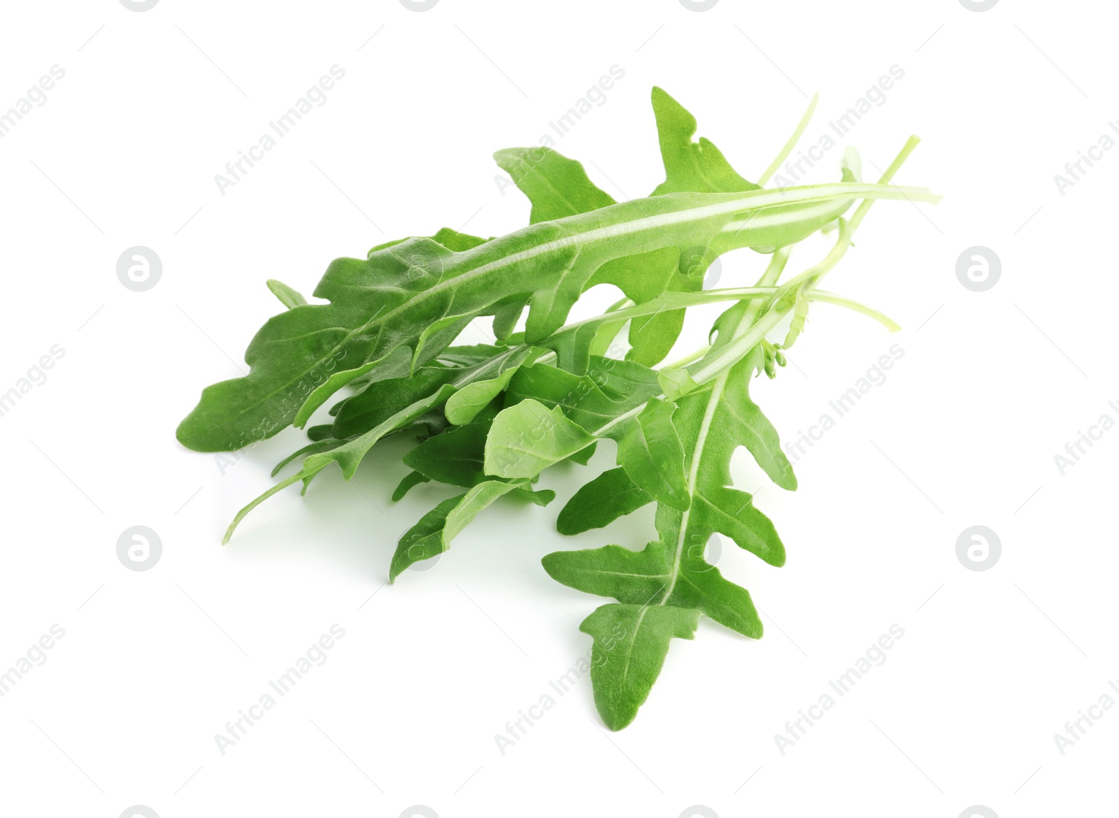 Photo of Many fresh arugula leaves on white background