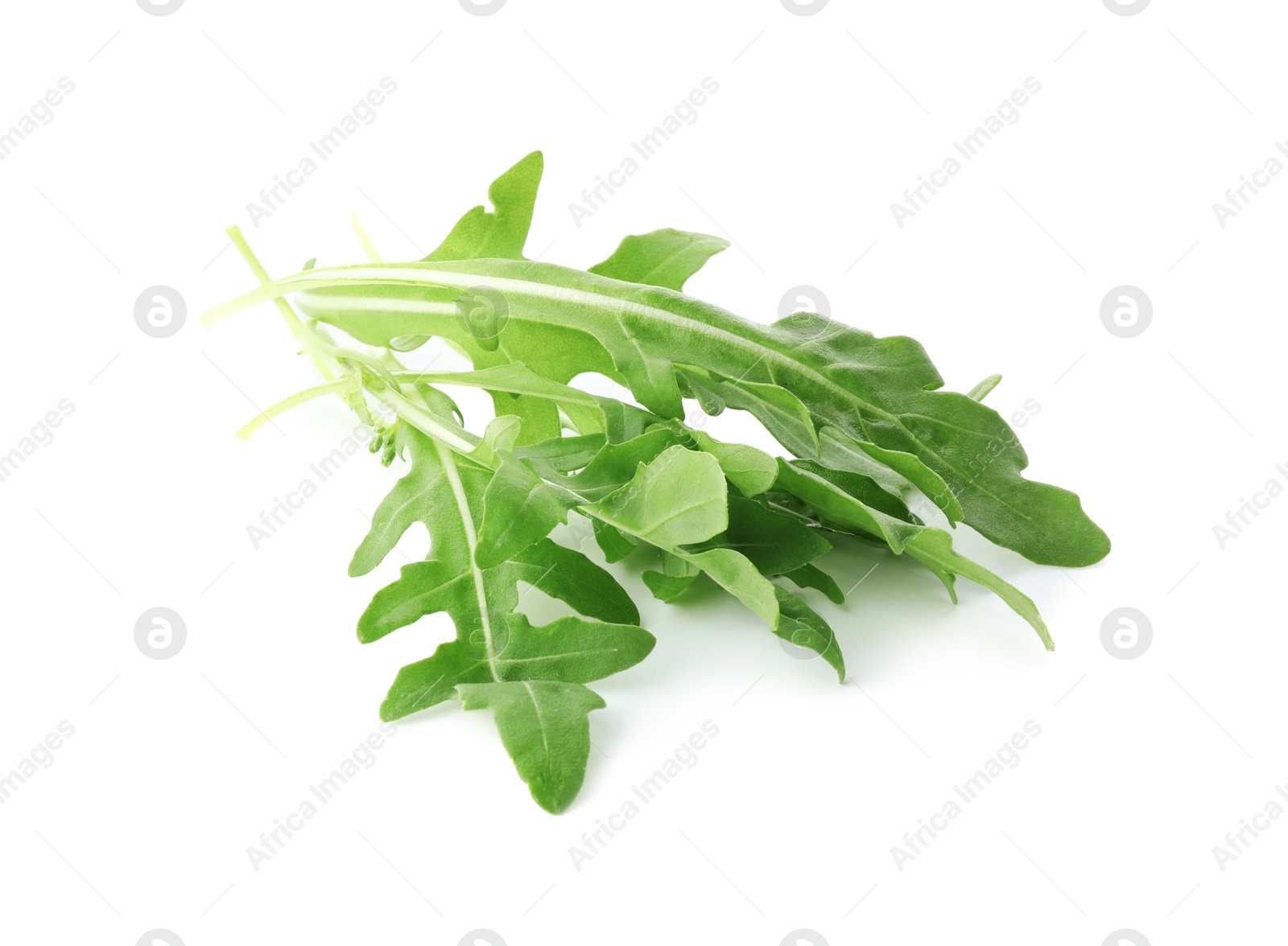 Photo of Many fresh arugula leaves on white background