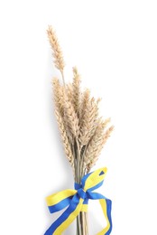 Photo of Ears of wheat with ribbon in colors of Ukrainian national flag isolated on white, top view