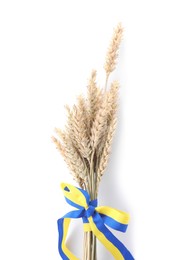 Photo of Ears of wheat with ribbon in colors of Ukrainian national flag isolated on white, top view