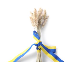 Photo of Ears of wheat with ribbon in colors of Ukrainian national flag isolated on white