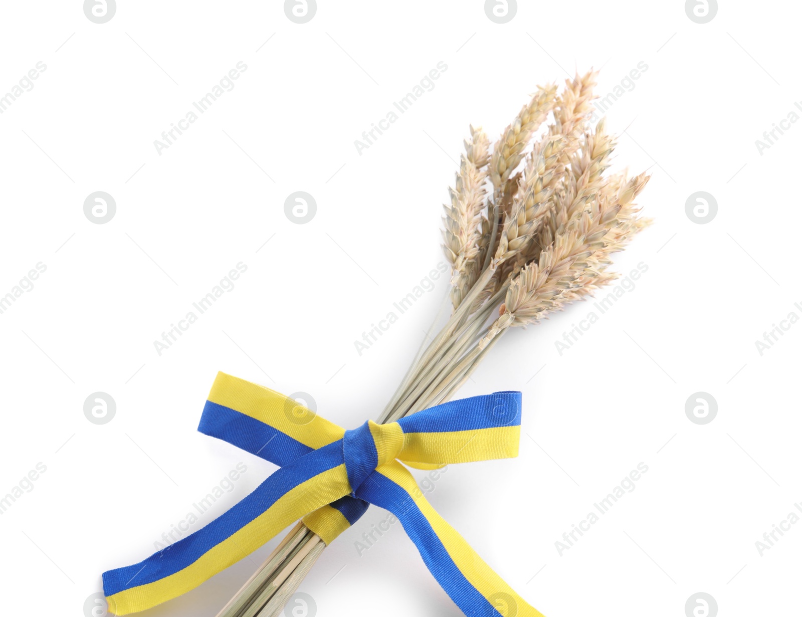 Photo of Ears of wheat with ribbon in colors of Ukrainian national flag isolated on white