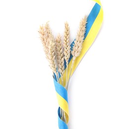 Ears of wheat with ribbon in colors of Ukrainian national flag isolated on white, top view