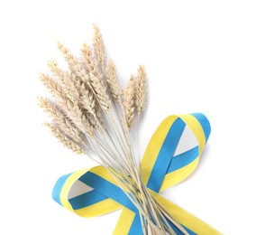 Photo of Ears of wheat with ribbon in colors of Ukrainian national flag isolated on white, top view