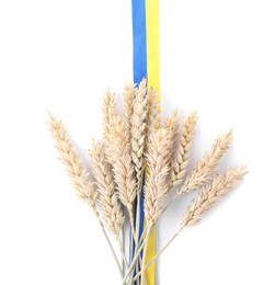 Ears of wheat with ribbon in colors of Ukrainian national flag isolated on white, top view